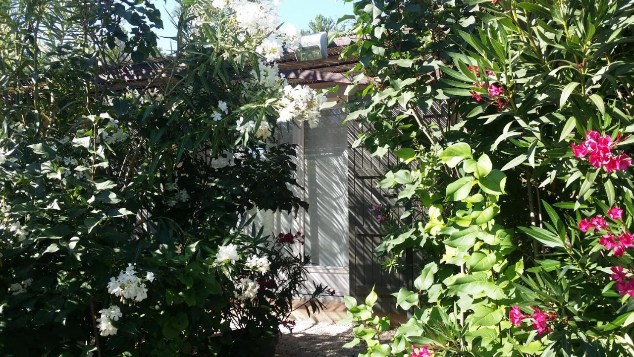 Les Oliviers Hotel Moustiers-Sainte-Marie Bagian luar foto